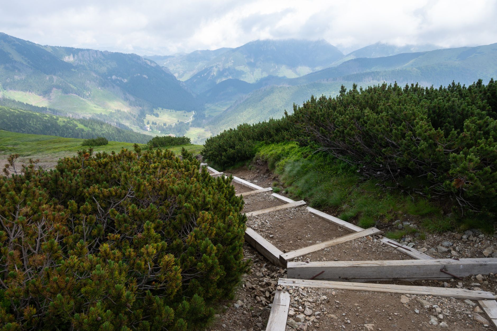 A breathtaking view of a mountain trail in the Tatra Mountains, framed by lush greenery and summer skies.