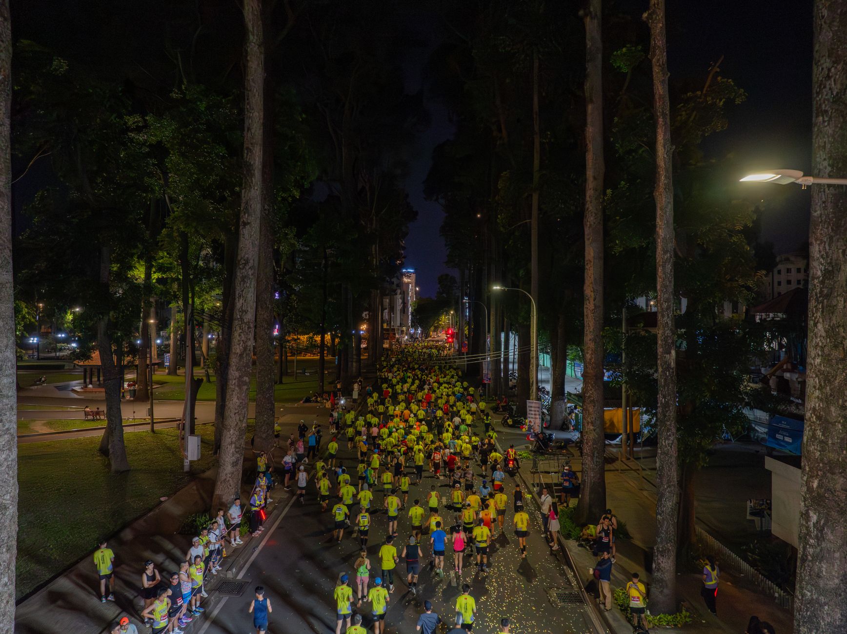 A nighttime marathon under streetlights and tall trees in an urban area.