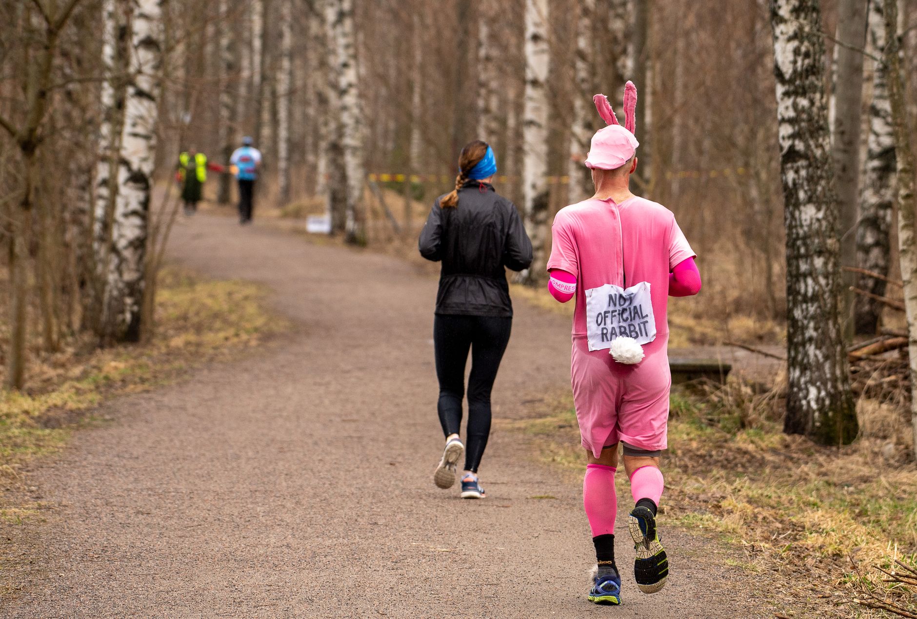 Joggers in a birch forest during a spring fun run in Espoo, Finland, including one in a humorous rabbit costume.