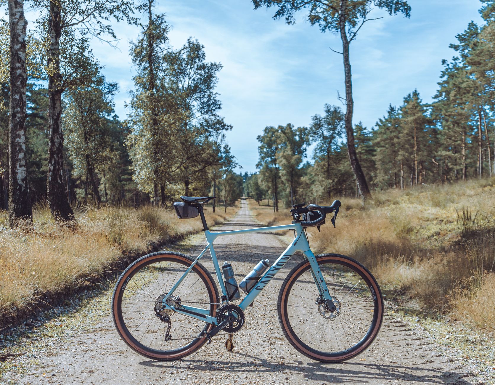 A gravel bike stands on a scenic dirt path in Veluwe, Netherlands, surrounded by lush trees.
