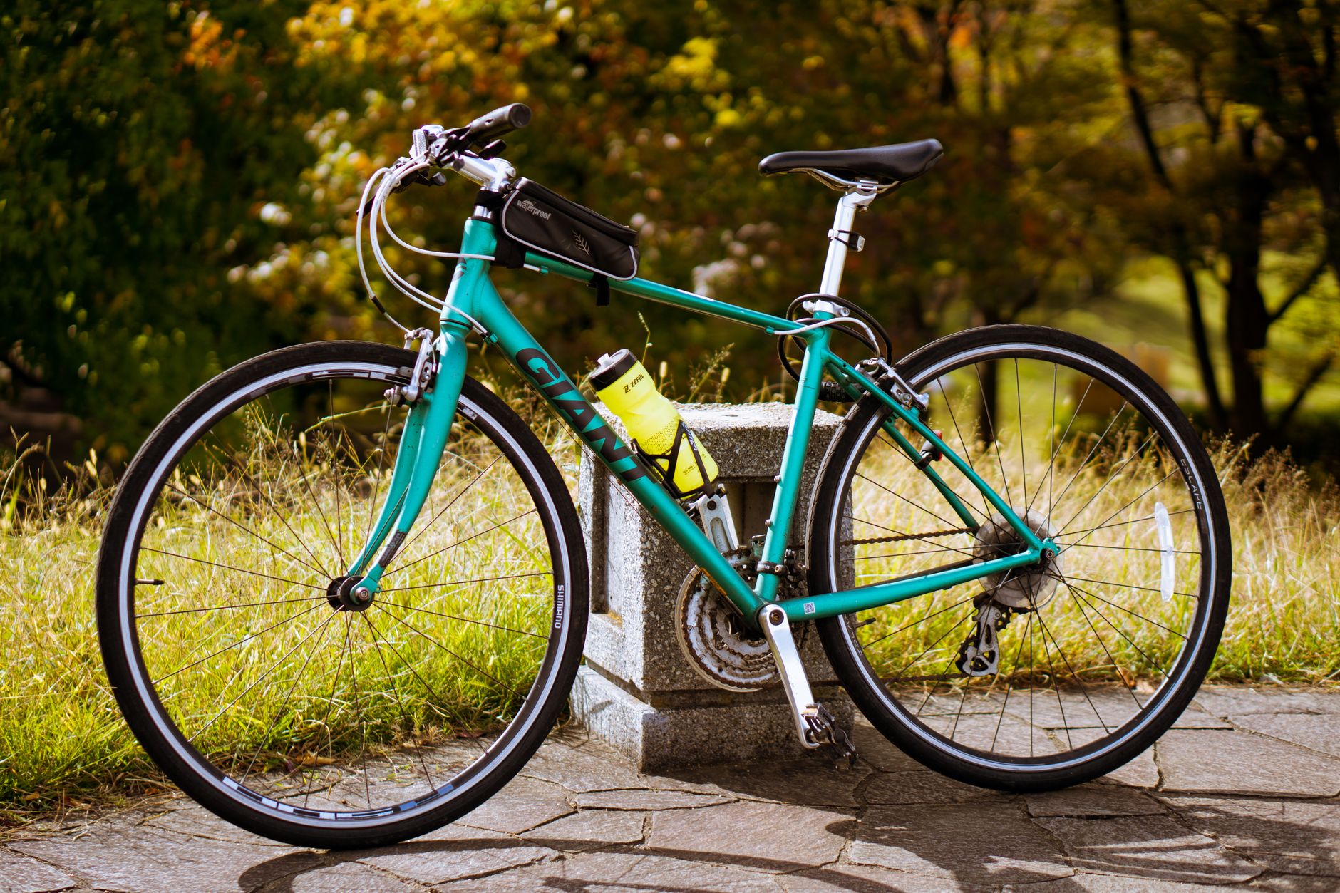 A vibrant teal Giant bicycle parked on a walkway in a lush Tokyo park.