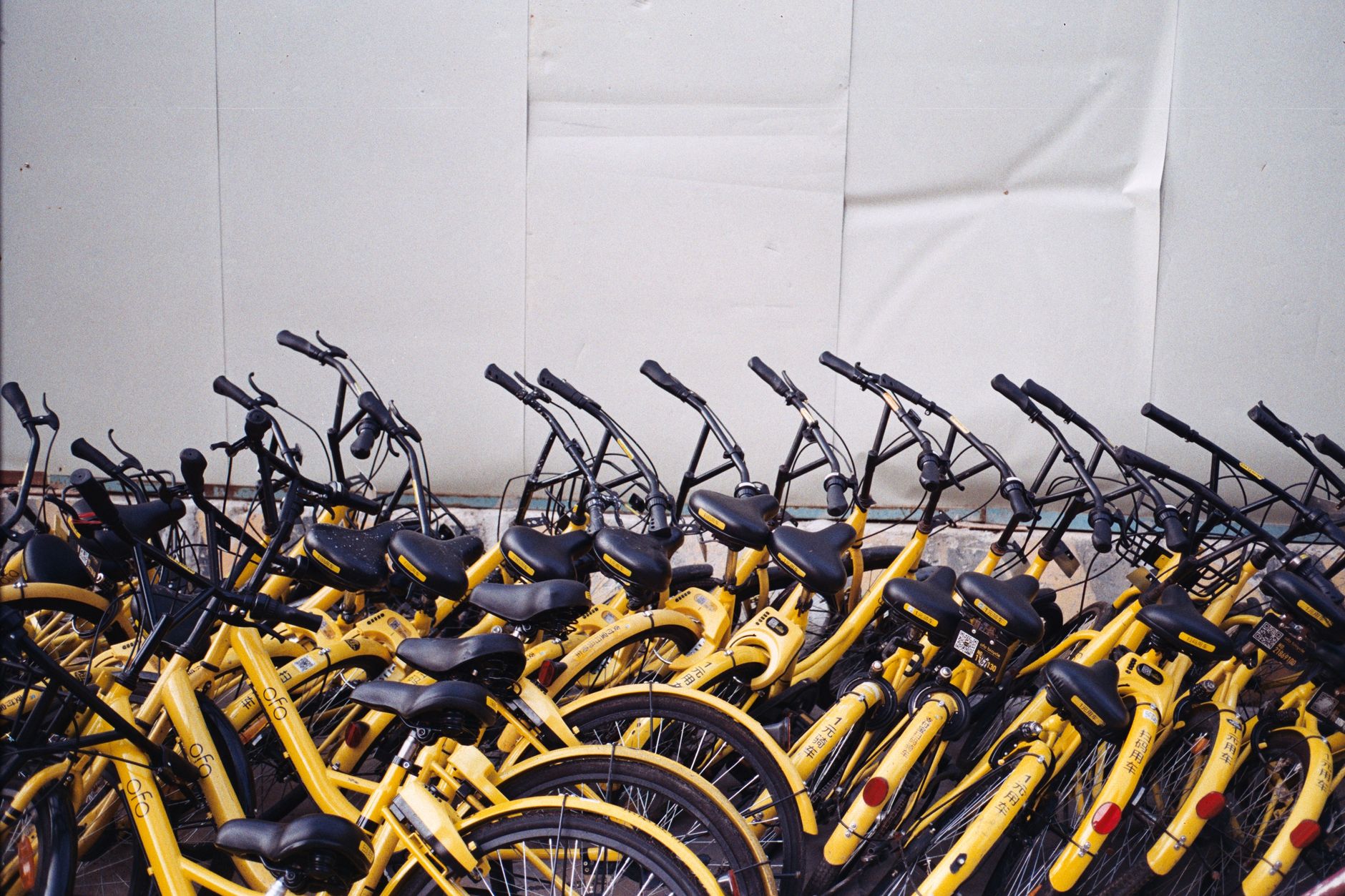 A collection of yellow rental bicycles neatly arranged outdoors, ready for use.