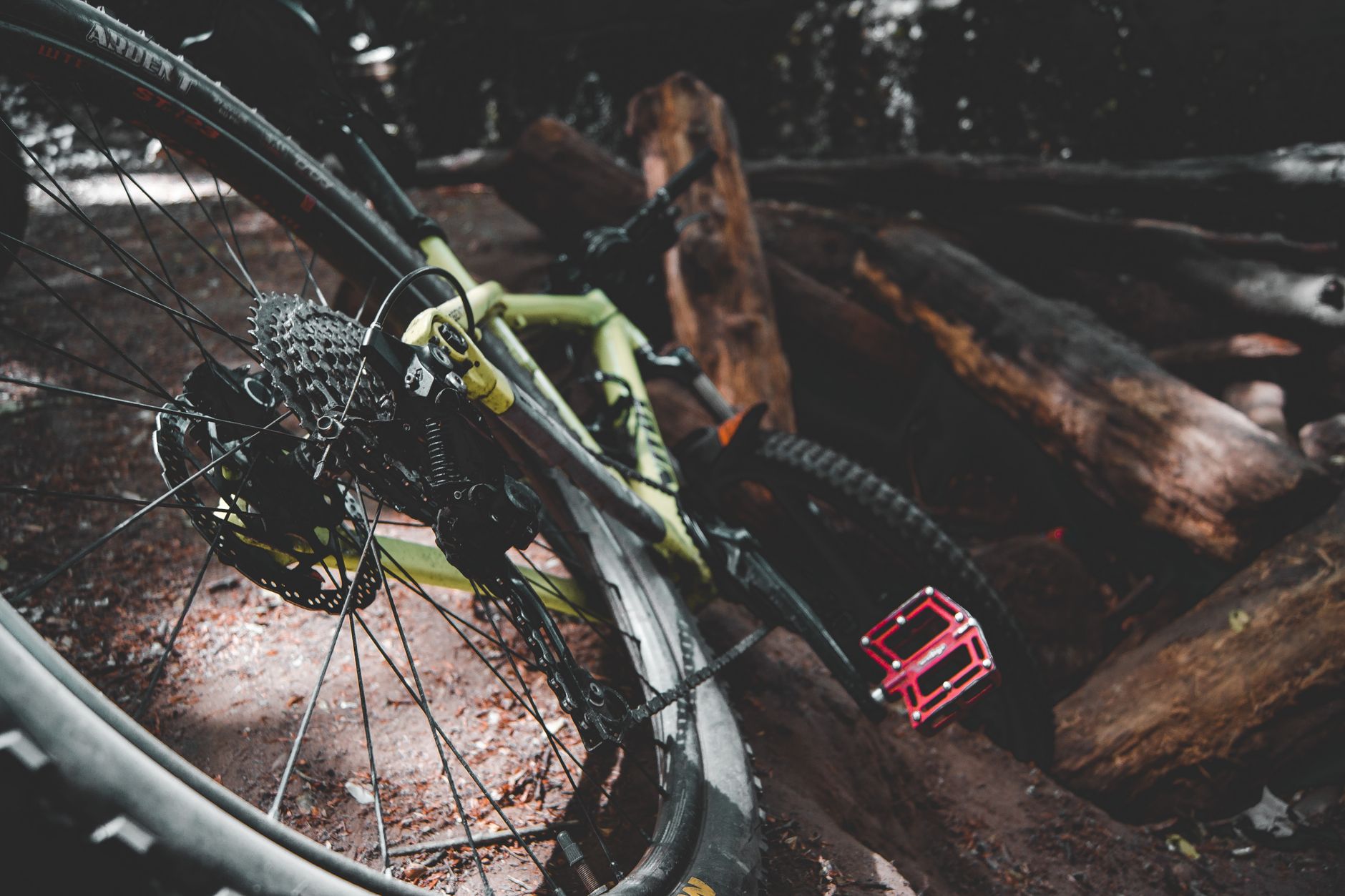 Modern professional bike placed on ground near fallen trees in woodland at daytime