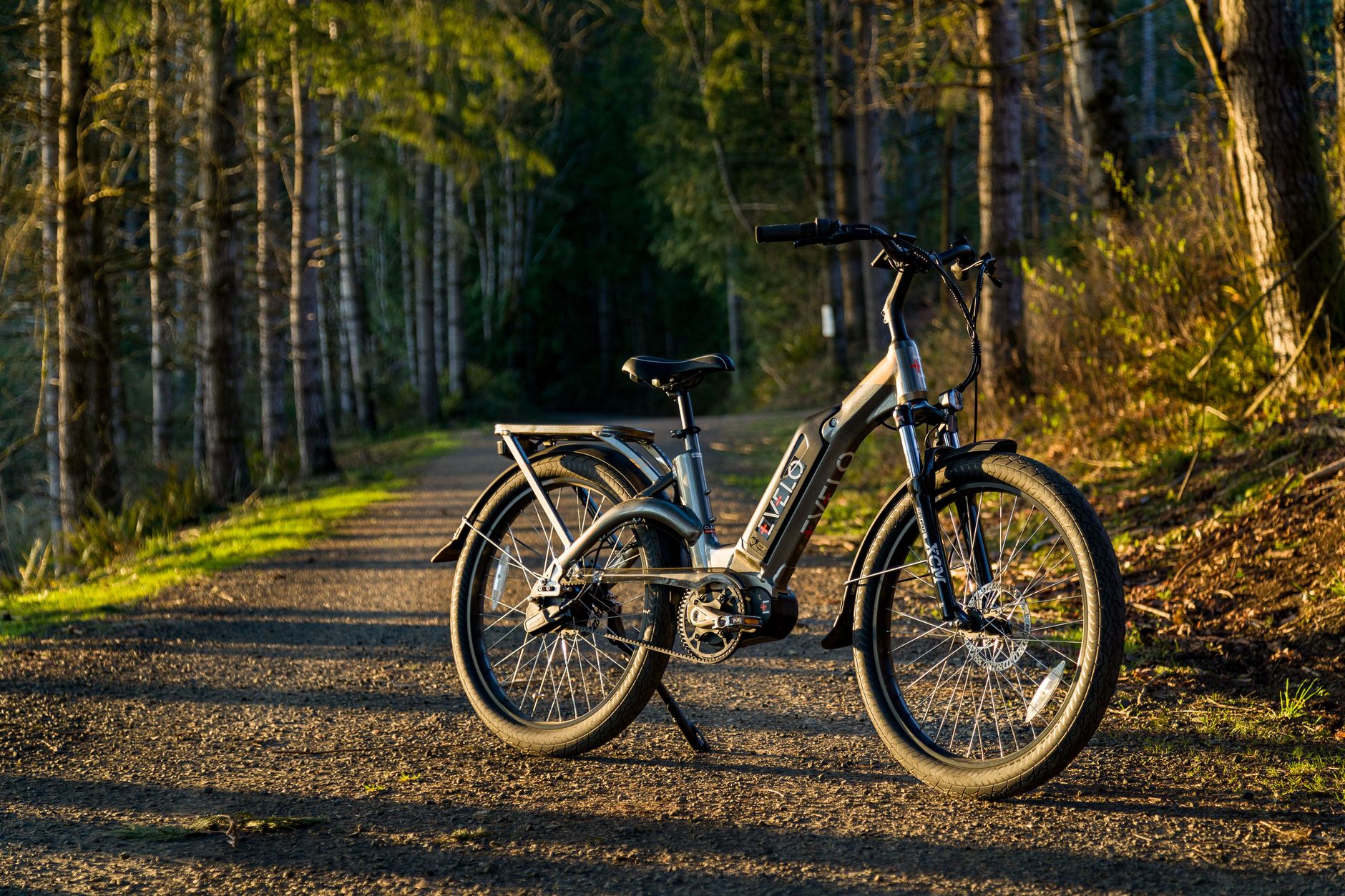 Electric bicycle parked on a sunny gravel path in a Seattle forest.